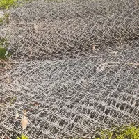 فنس ضخیم معروف به زندانی
