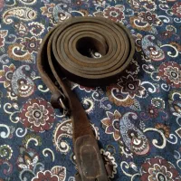 کولی کمربندعلم