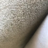 موکت پالاز