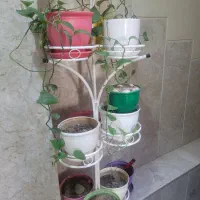 استند گل ۱۰ تایی