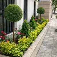 خدمات باغبانی سمپاشی هرس وگل کاری سم پاشی شمشادزنی