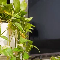 یخچال تی وی لباسشویی