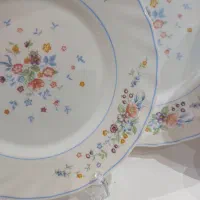 آرکوپال ویکتوریا ، چینی گل سرخی