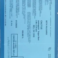 بذر چغندر کاکتوس 2025