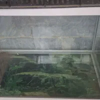اکواریوم شیشه خم