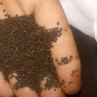 چای دبش خوش طعم ورنگ وبو