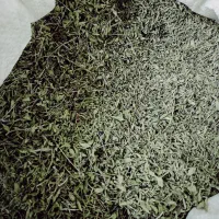 برگ خشک شده اذربه