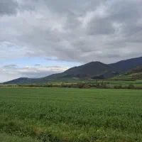 سرکتاب،فال فوری