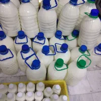 دوغ سنتی