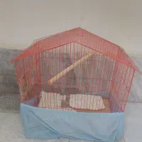 قفس پرنده