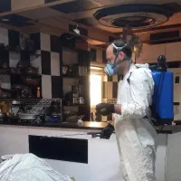 سمپاشی تضمینی ساس،سوسک،کک، کنه