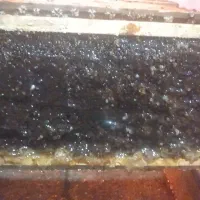 عسل بهاره