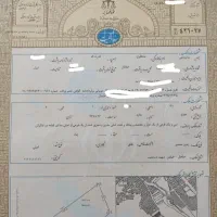 زمین با سند تکبرگ داخل بافت