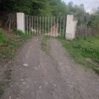 فروش-ومعاوزه
