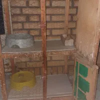 قفس،جوجه گیری،