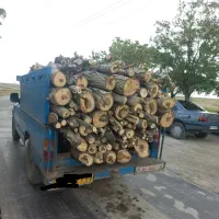 خرید انواع چوب