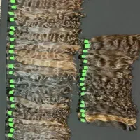 گیسوطلا