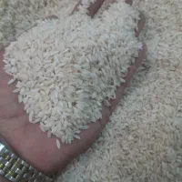 برنج کوثر اصل عمده و تک موجوده