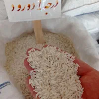 برنج دورود درجه۱