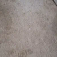 موکت پلاز