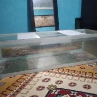 آکواریوم