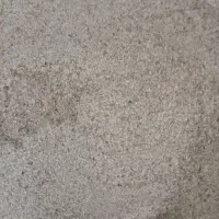 گزانگ بین کزوی خوب درجه یک