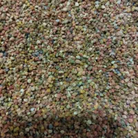گرده گل ژل رویال زنبور عسل