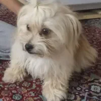 استان کرمان شهر عنبرآباد