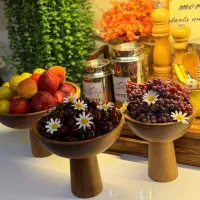 ظروف چوب طبیعی