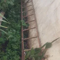 نردبان فلزی