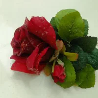 تعدادی گل خارجی