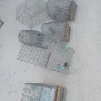 قفس سهره