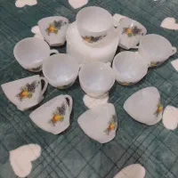 فروش ظروف سیب گلابی اصل