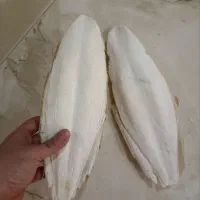 کف دریا ارسال از جنوب