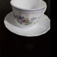 فنجون آرکوپال