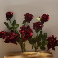 تعدادی گل وارداتی در حد نو