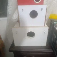 لانه