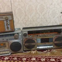 ظبط