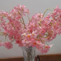 شکوفه خارجی