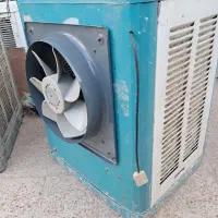 فروش کولرابی فنی