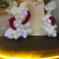 سالان جشن عقد بله برون جشن تولد و ....