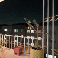 آپارتمان