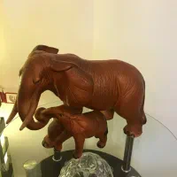 فیل سالم وشیک