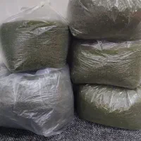 شویدخشک