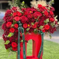 باکس قرمز خاص هدیه به عشق کد ۱۳۵۵ گلاریس