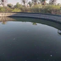 حوضچه ماهی
