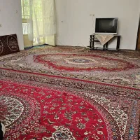 سوئیت-الموت-شرقی-معلم-کلایه