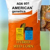 بذر ذرت AGN 601.امریکن ژنتیک.رقم دانه‌ای و سیلاژی