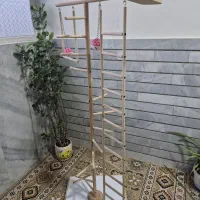استند پرنده