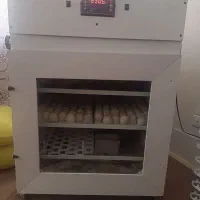 دستگاه جوجه کشی آریا ساز 500تایی تمام اوتوماتیک